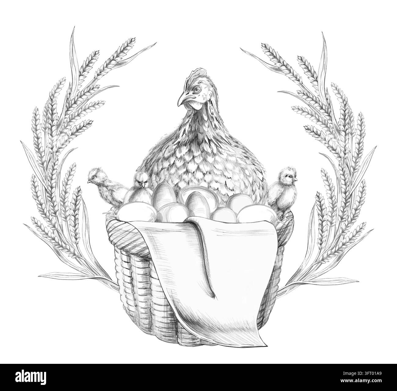 Disegno a matita di una gallina in un cesto con pulcini e uova. L'illustrazione è adatta per imballaggi, etichette, menu, pubblicità, libri per bambini, fo Foto Stock