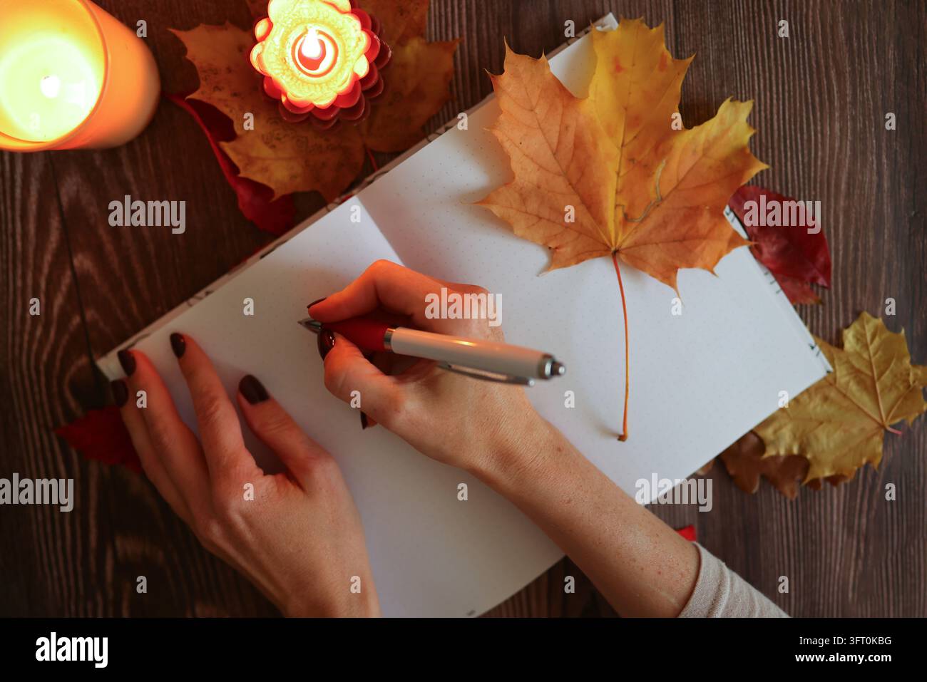 Composizione piatta autunnale con quaderno e bevanda calda, che promuove il journaling come pratica semplice per il sollievo dallo stress e la chiarezza mentale. Foto Stock