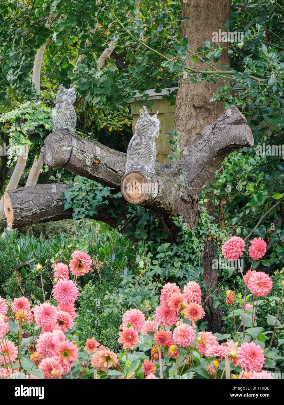 Gufi spettrali di filo metallico sono posizionati sopra dahlias rosa negli York Museum Gardens, Inghilterra, in autunno. Foto Stock