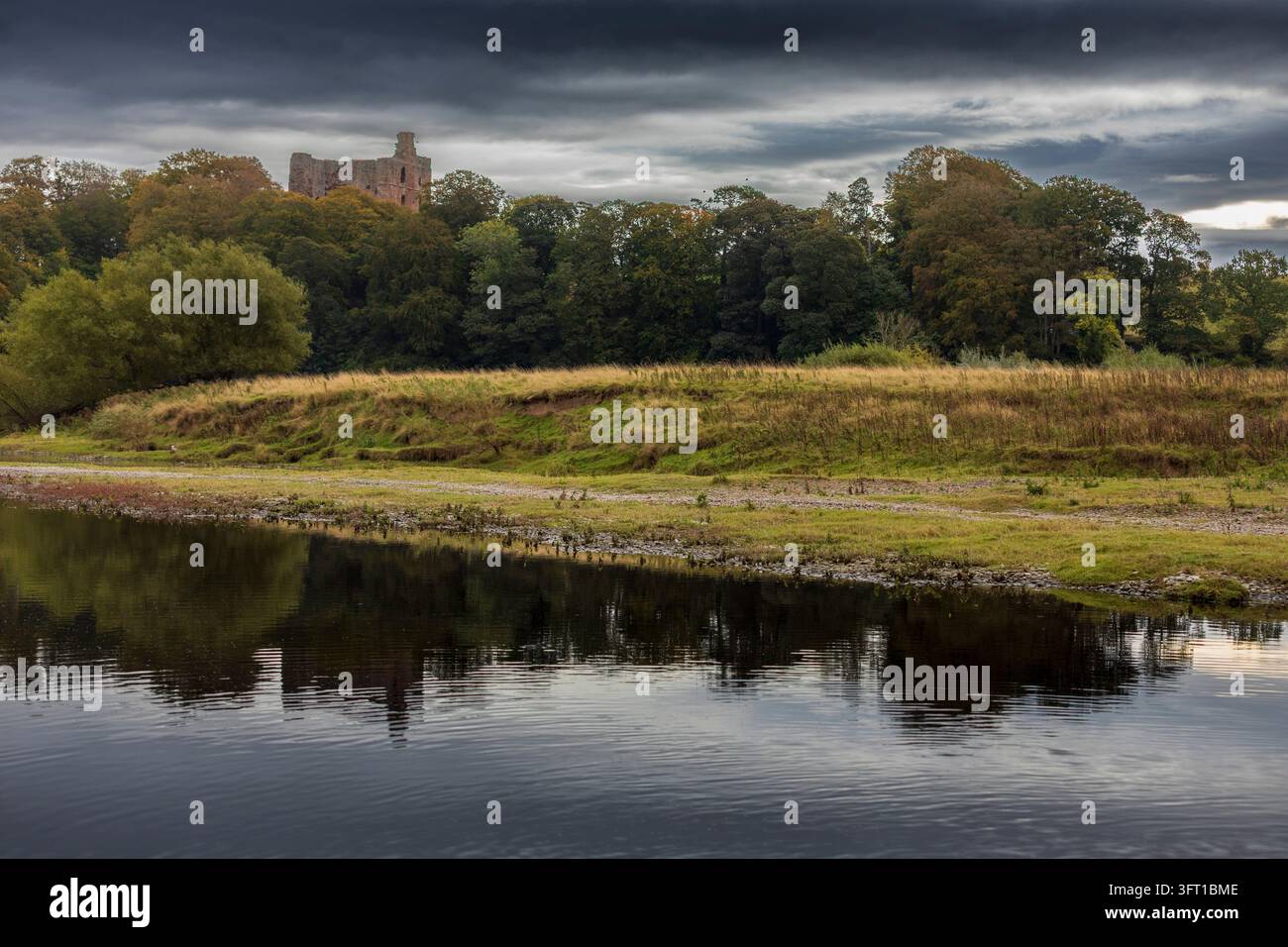 Il castello di Norham visto dal lato scozzese del confine. Foto Stock