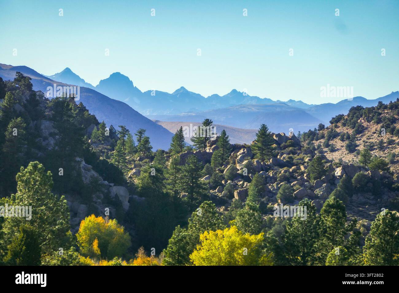 Vette delle montagne della Sierra Nevada che si ergono sopra una foresta di pini e un colorato fogliame autunnale nella Sierra orientale della California Foto Stock