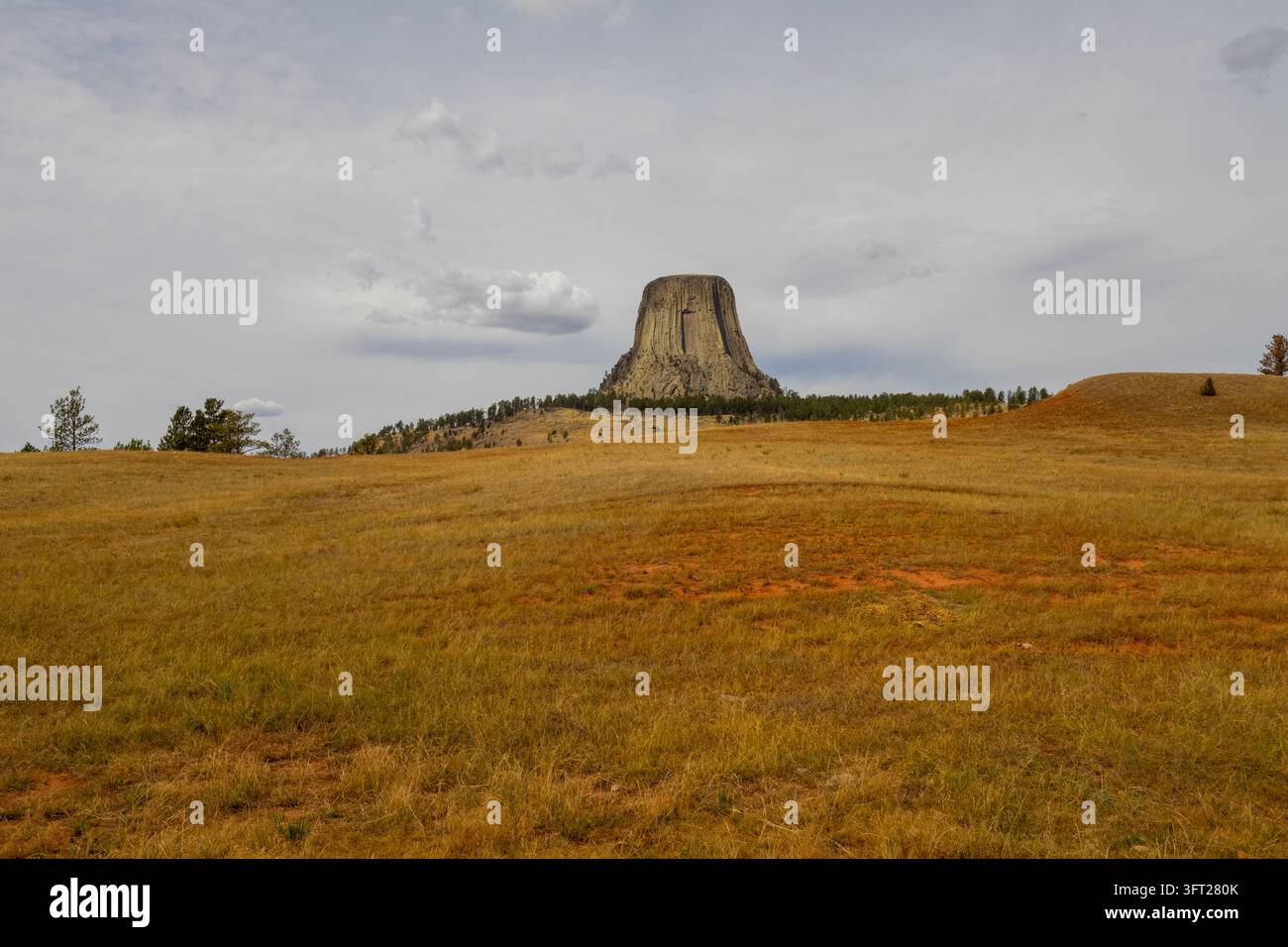 Devils Tower che si erge sopra i pini ponderosa e le praterie dorate sotto un cielo nuvoloso, Devils Tower National Monument, Wyoming, USA Foto Stock