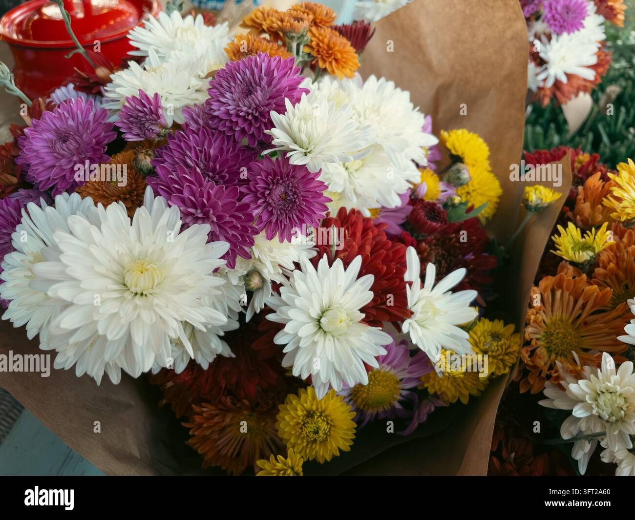Mazzo di fiori di crisantemo colorato avvolto nella carta artigianale al mercato - Immagine stock catturata con smartphone