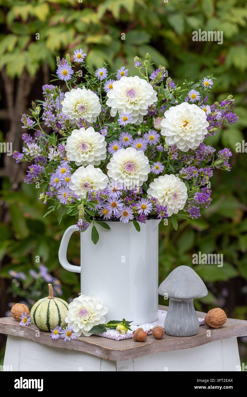 Mazzo di dahlie bianche e viola, aster selvatici e erba medica in una brocca di smalto in giardino Foto Stock
