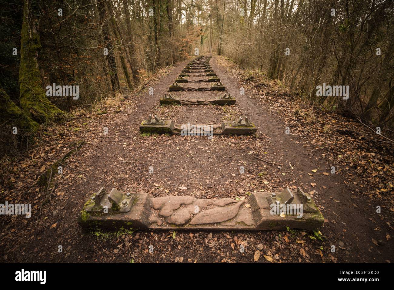 Installazione artistica all'aperto Iron Road su un sentiero boschivo nella Forest of Dean, Coleford, Gloucestershire, Inghilterra Foto Stock