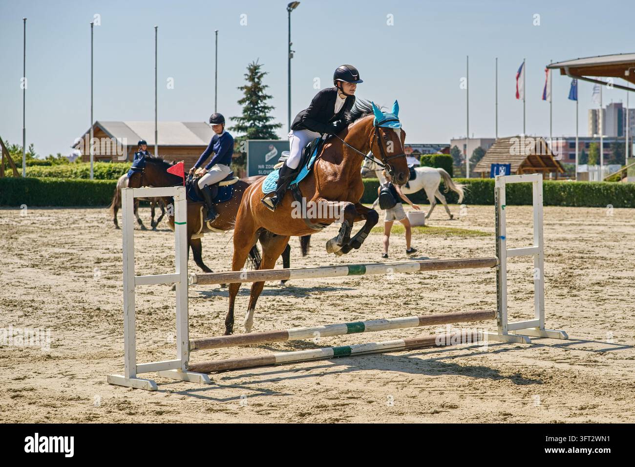 Una fotografia sportiva d'azione che mostra una competizione di salto a ostacoli equestre con cavalli e cavalieri che superano ostacoli su un'arena di sabbia all'aperto durante un s Foto Stock
