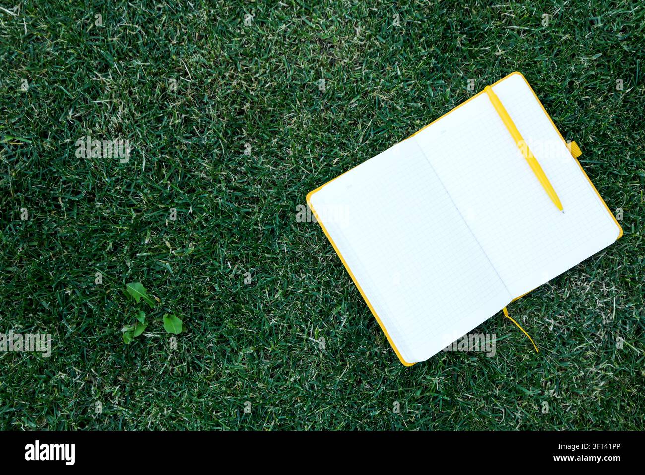 Quaderno aperto con penna sull'erba all'aperto, spazio per il testo Foto Stock