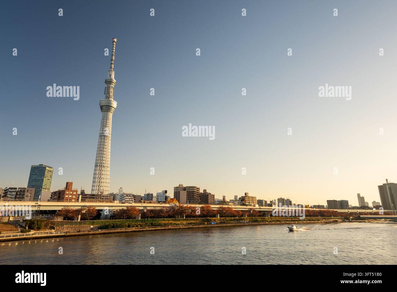 Torre Tokyo Skytree e skyline urbana sul fiume Sumida all'ora dorata del tramonto dal parco Sumida. Tokyo, Giappone. Foto Stock