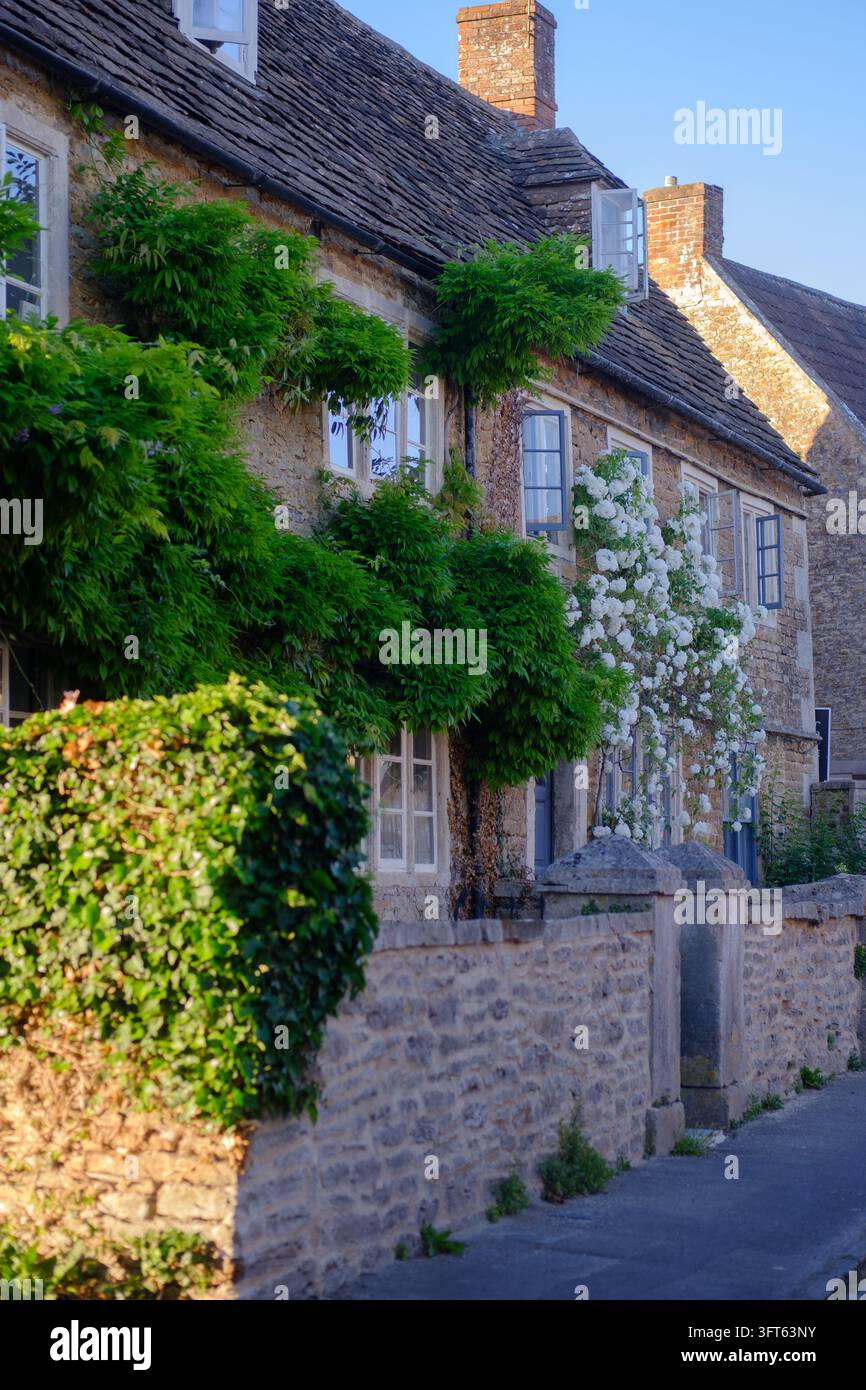 Idilliaco cottage inglese con glicini e rose Foto Stock