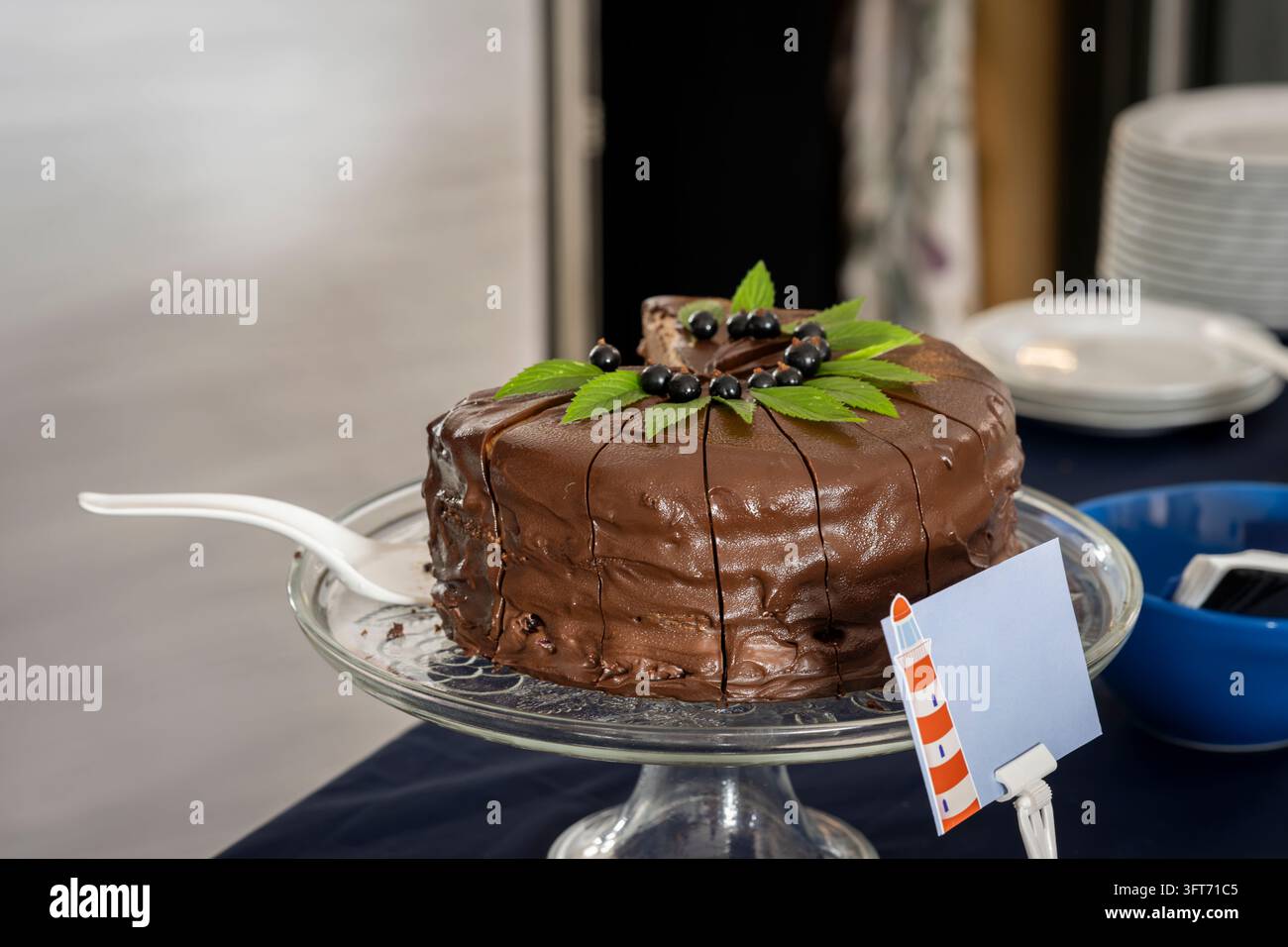 Torta al cioccolato ricoperta da una glassa al cioccolato liscia, ribes neri freschi e foglie di menta verde, presentata su un elegante supporto in vetro. Foto Stock