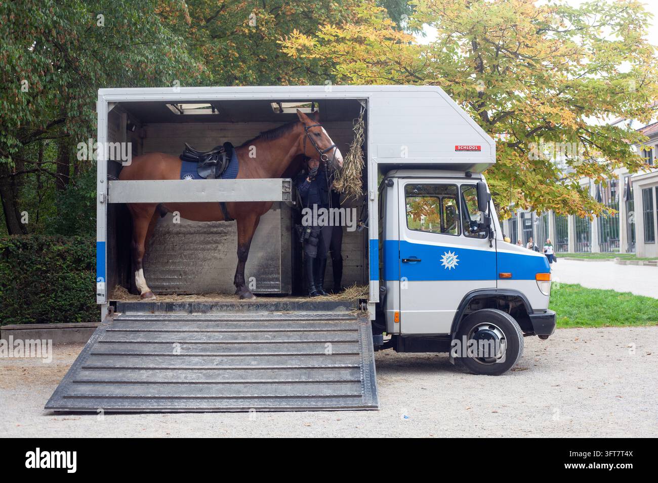 Polizia a cavallo portata all'interno di un camion per il trasporto di cavalli Mercedes-Benz Vario 813 D da 2 donne della polizia dopo l'evento dell'Oktoberfest. Foto Stock