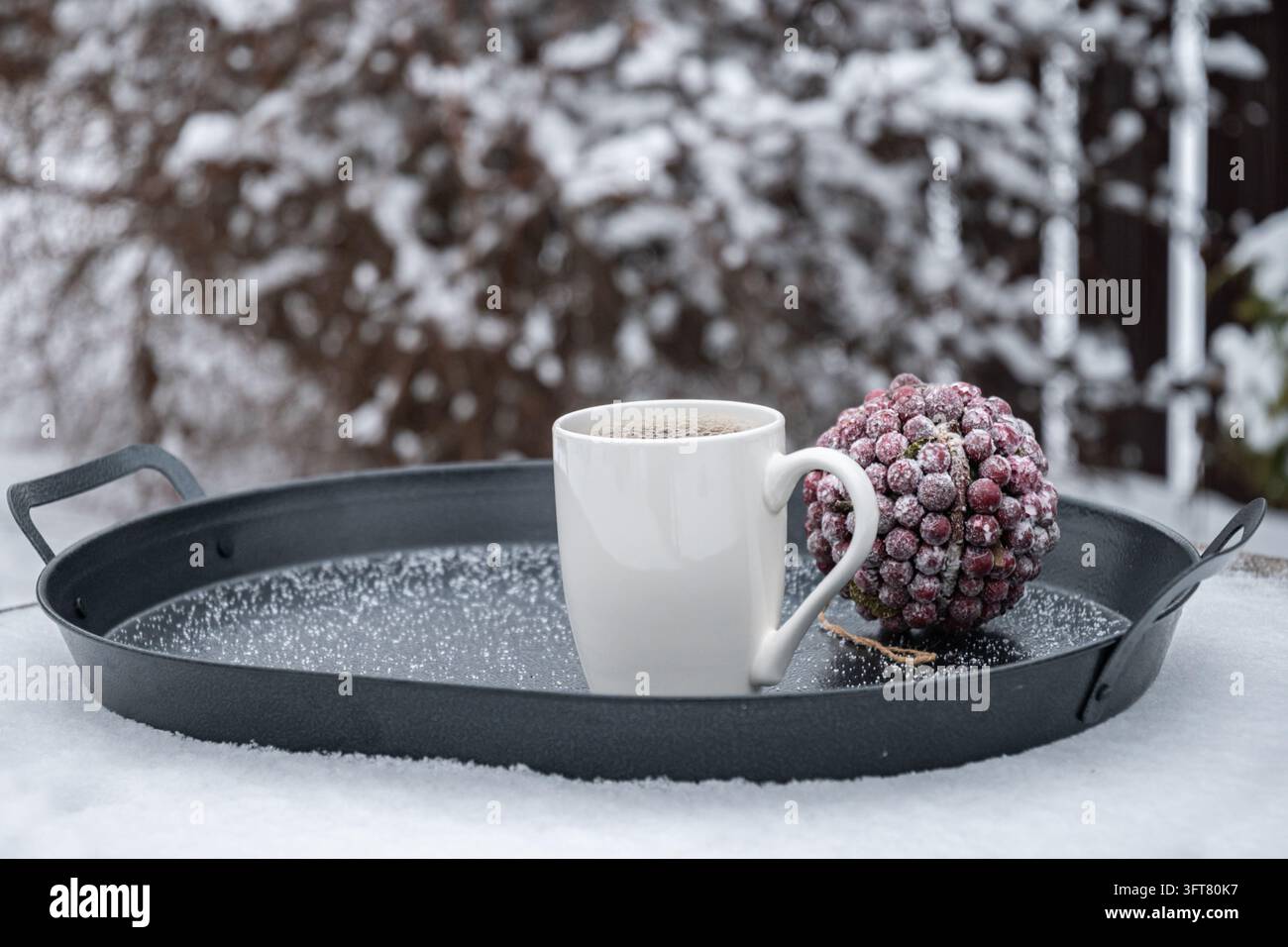 Tazza bianca di bevanda calda su vassoio nero in un giardino d'inverno innevato Foto Stock