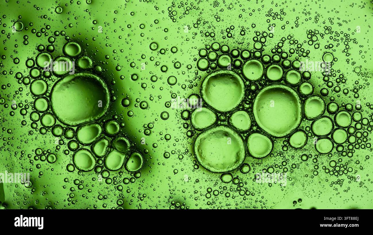 Bollicine di olio verde sospese nel liquido, che formano una trama e una texture macro astratta, simili a strutture biologiche microscopiche Foto Stock