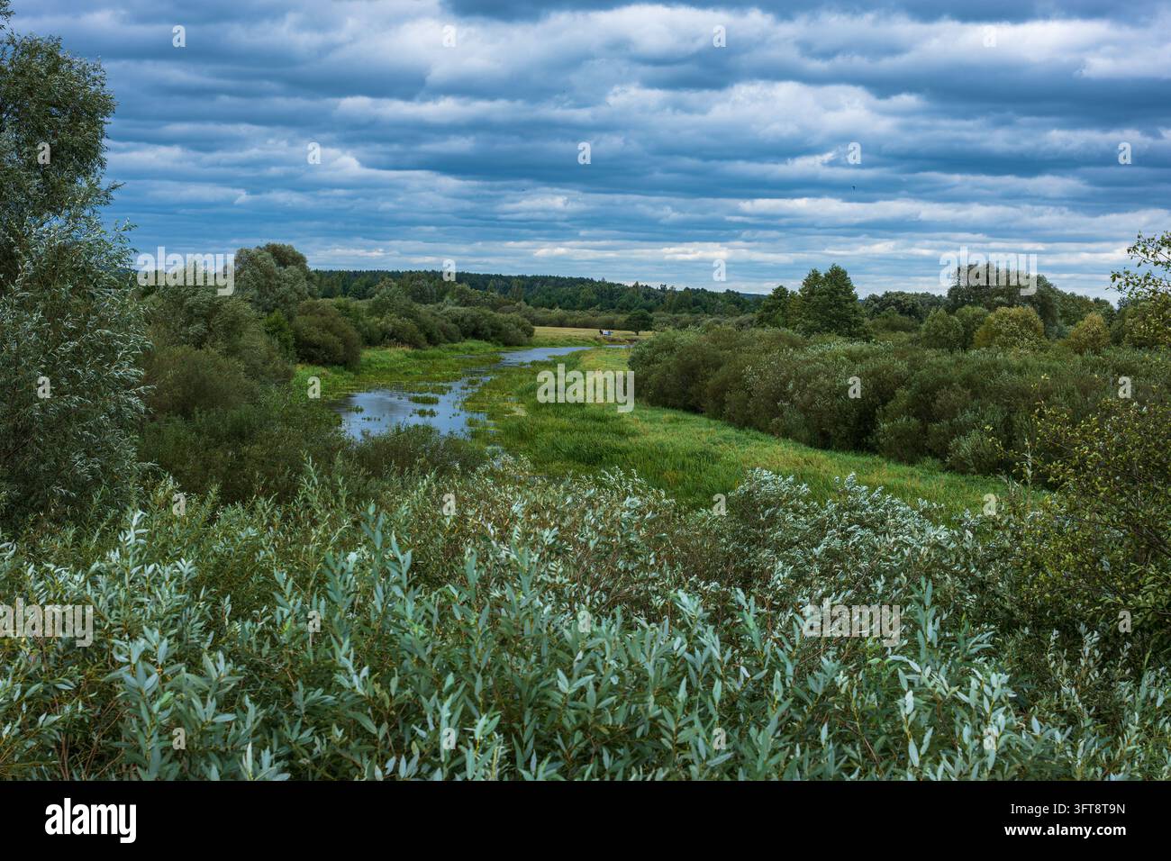 Veduta aerea di un fiume sinuoso che attraversa prati e vegetazione di salici. Terreno agricolo pianeggiante con canali d'acqua e copertura arborea sottostante. Foto Stock
