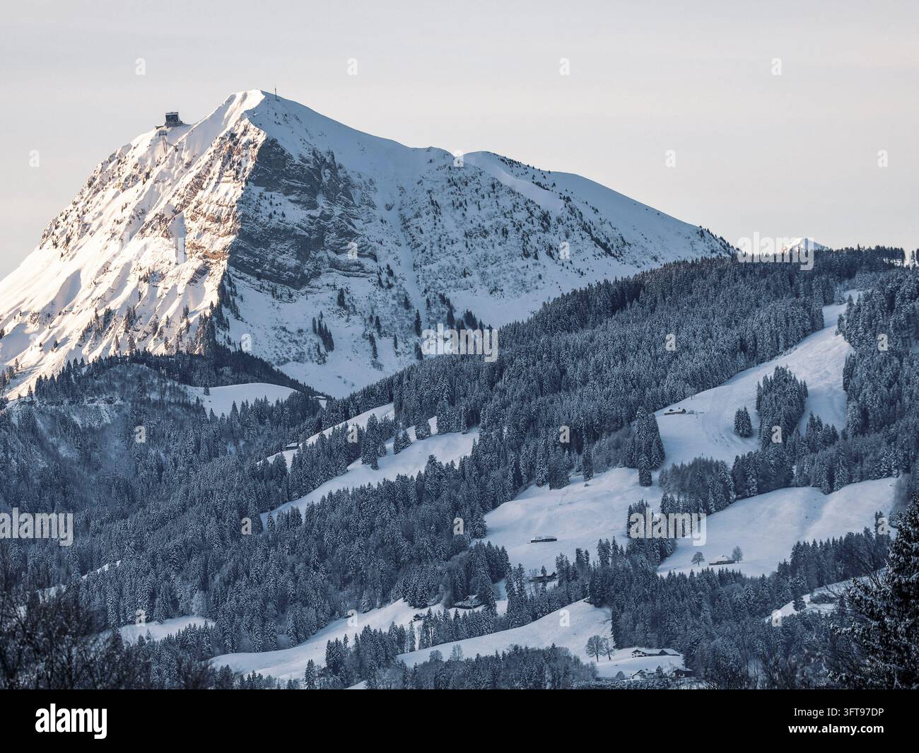 Picco a forma di piramide innevato sopra pendici boschive invernali nelle Alpi svizzere Foto Stock