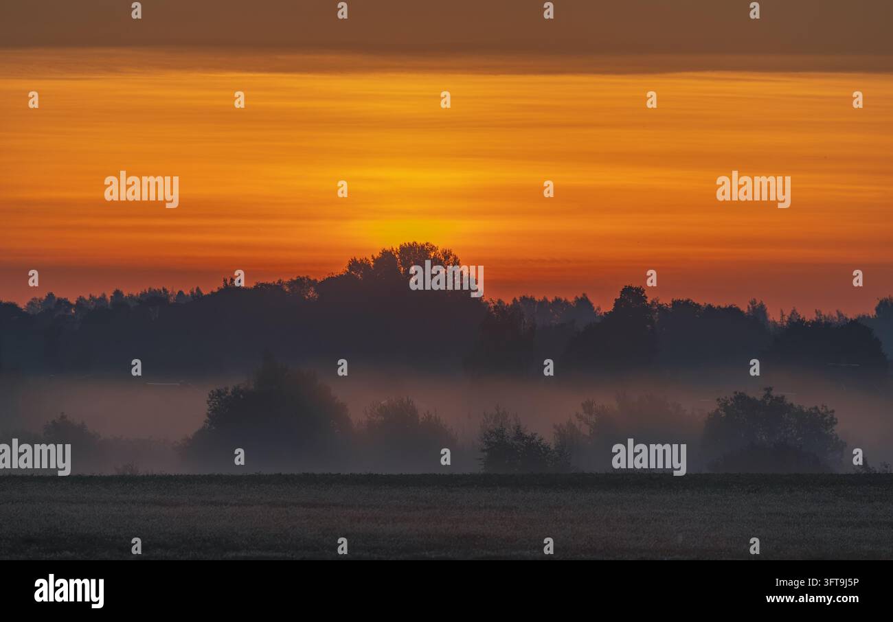 Campi coperti di nebbia a Kernave, Lituania Foto Stock