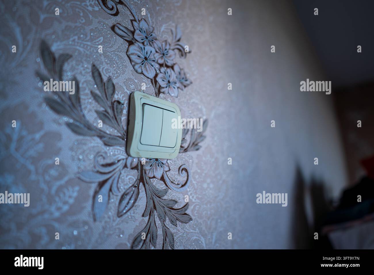 Piastra doppia color crema montata su carta da parati damascata floreale marrone decorativa con motivo goffrato. Foto Stock