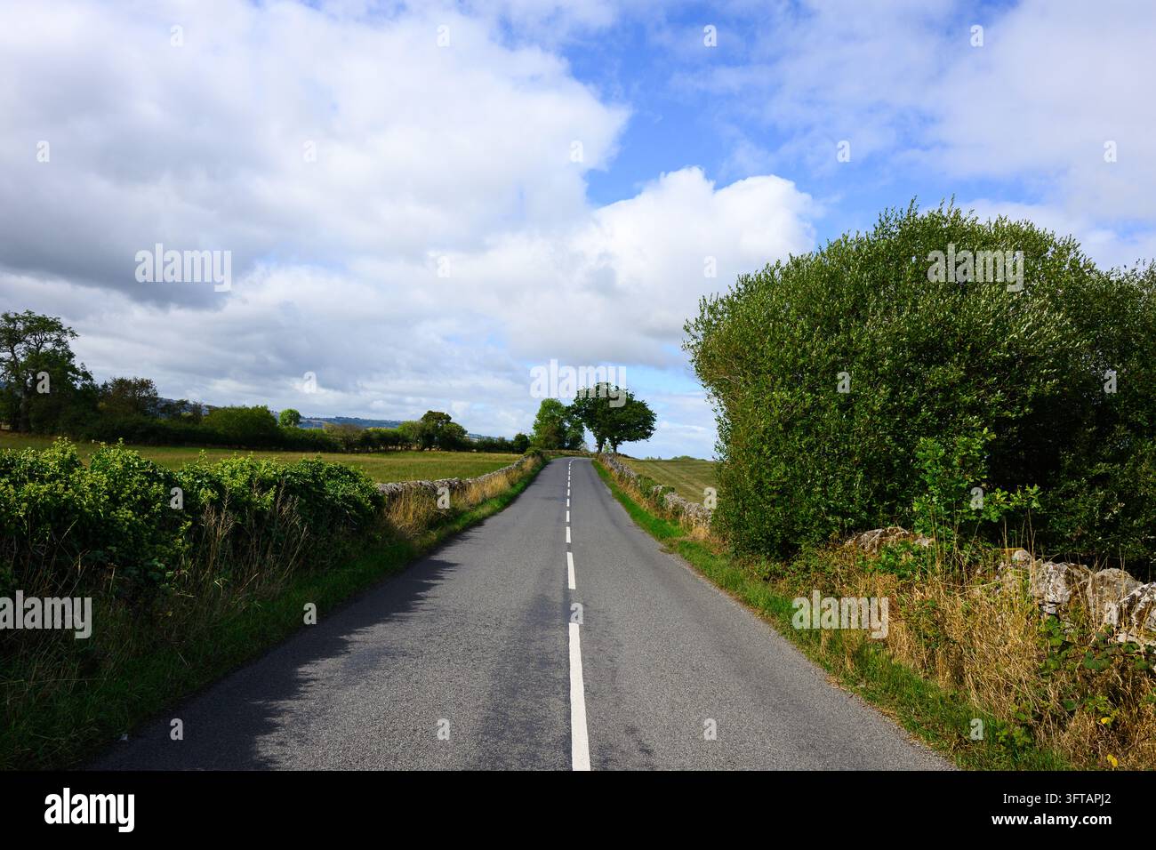 Strada di campagna che passa tra muri di pietra oltre campi agricoli nello Shropshire, Inghilterra Foto Stock