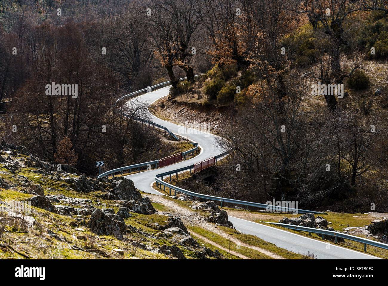 Strada di campagna asfaltata che si snoda tra colline e alberi con guardrail, simboleggia il viaggio e la sfida nella natura Foto Stock