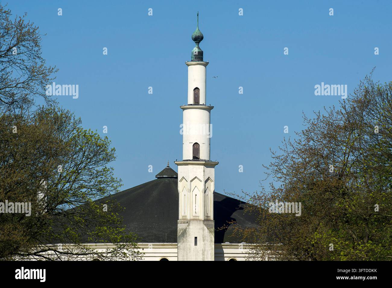La grande Moschea nel parco del Cinquantenario a Bruxelles. |  La grande Moschea di Bruxelles nel parco del Cinquantenario Foto Stock