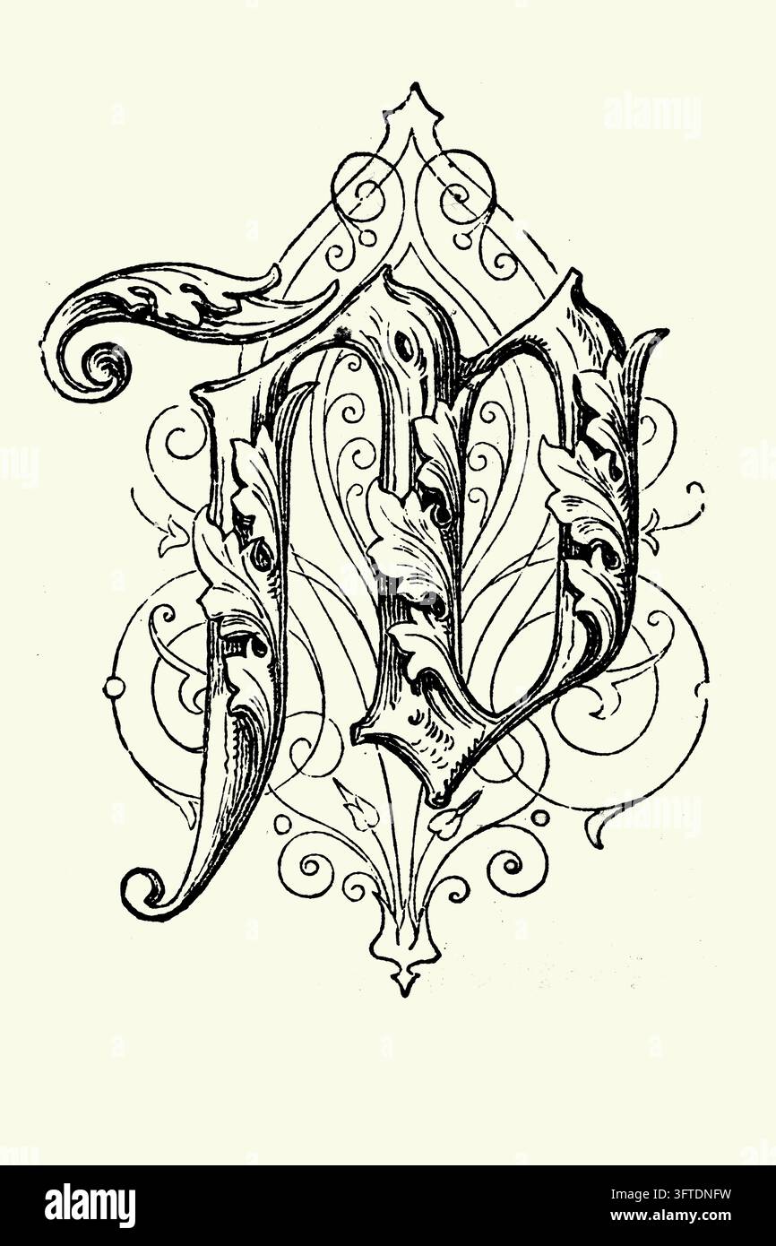 Lettera M illuminata ornata con foglia d'acanto e decorazione a volute. Foto Stock