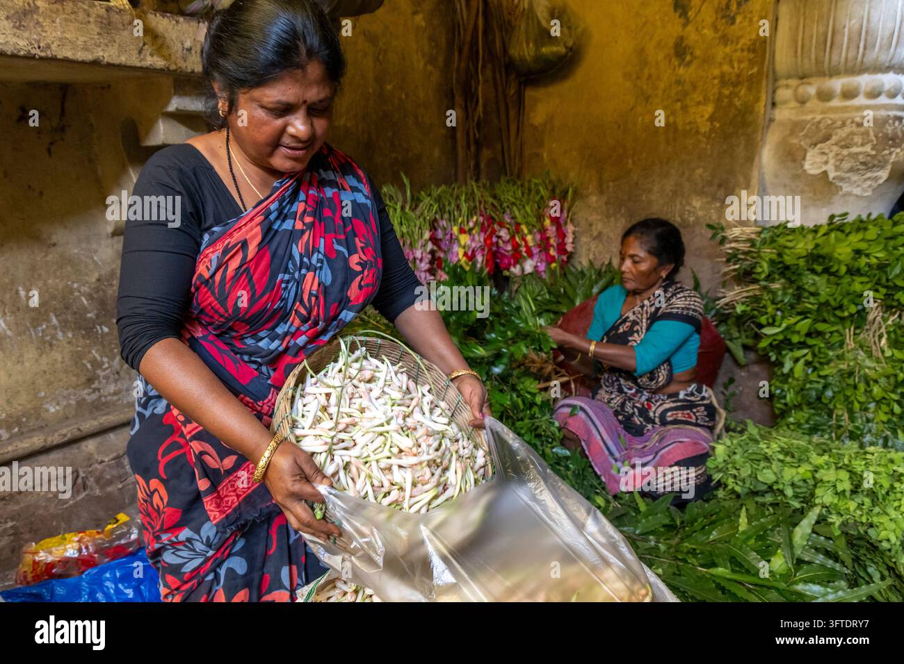 Una donna in un sari floreale rosso e blu riversa un cesto di boccioli bianchi in una borsa mentre una donna seduta smista foglie, Bengala Occidentale, Kolkata, India Foto Stock