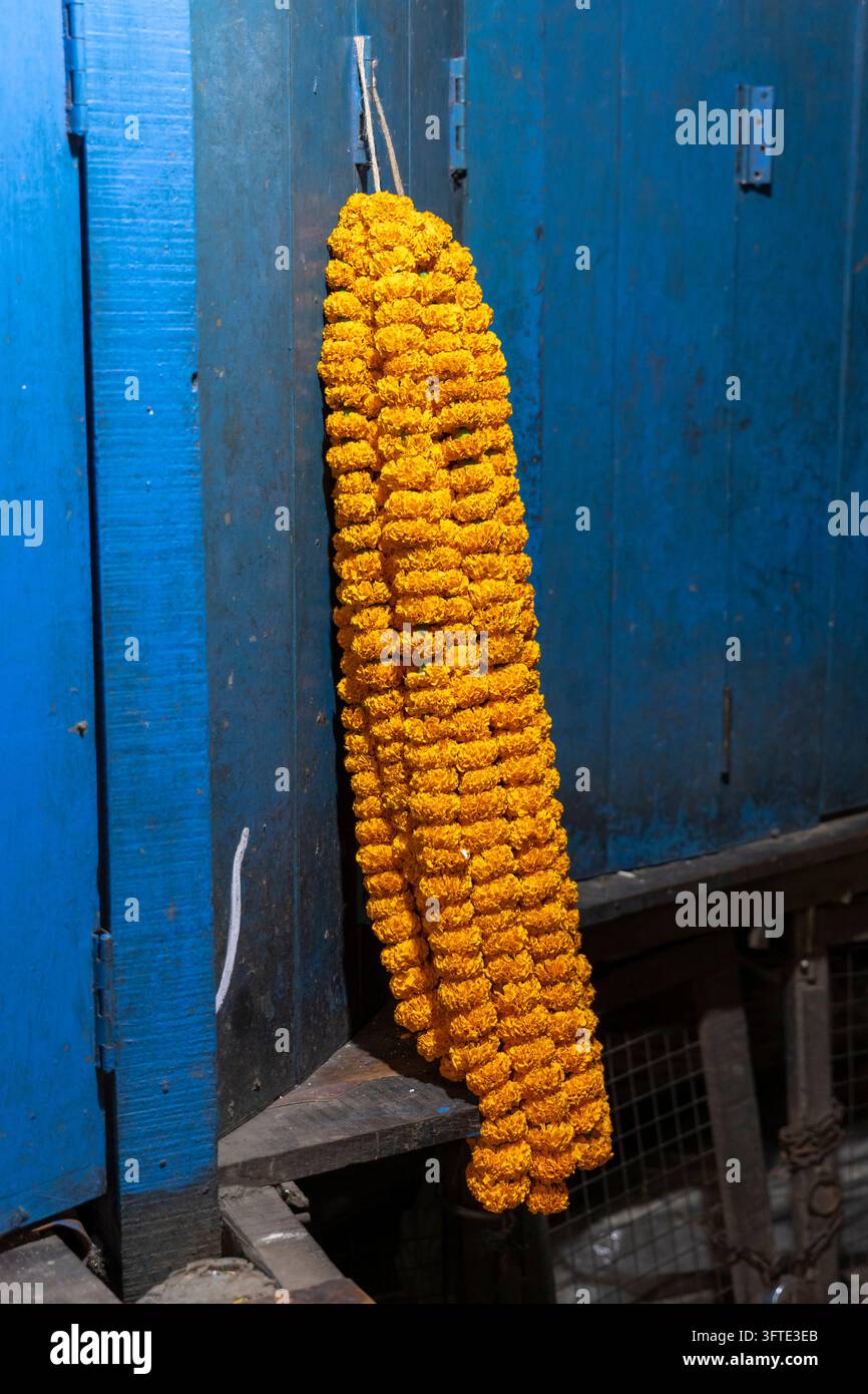 Singola ghirlanda di calendule arancioni e gialli appesa a un gancio su una porta dipinta di blu al mercato dei fiori, Bengala Occidentale, Kolkata, India Foto Stock