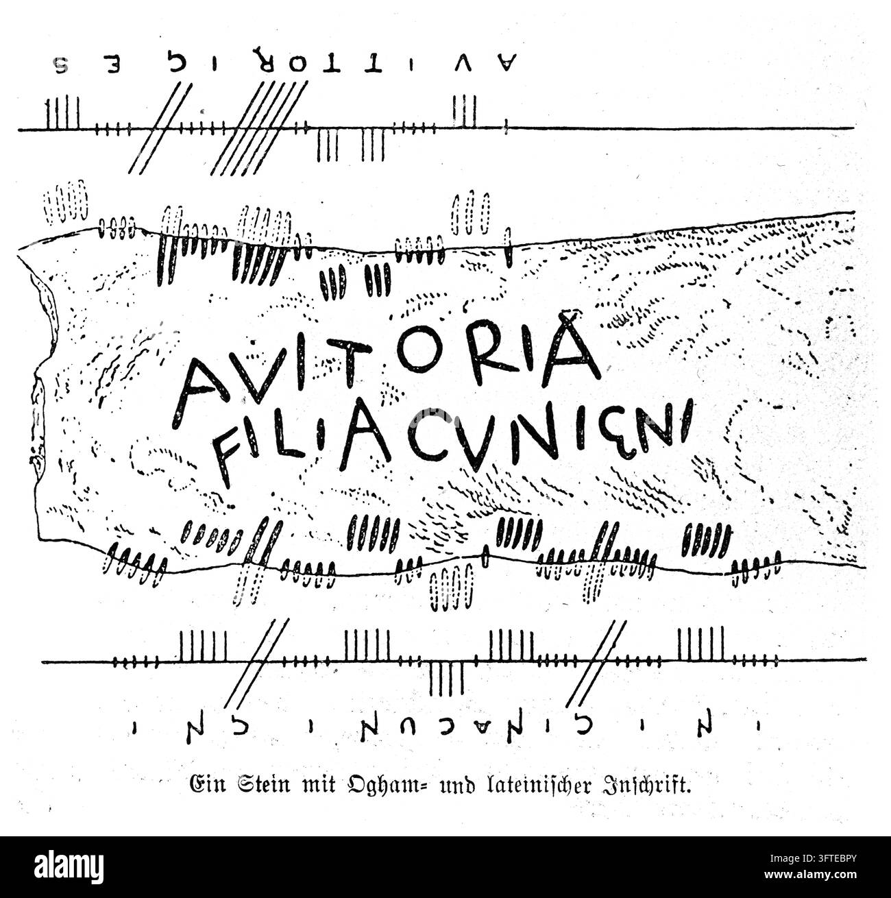 Pietra oghamica con iscrizione latina, antico sistema di scrittura celtico, sfondo bianco, incisione del XIX secolo. Foto Stock