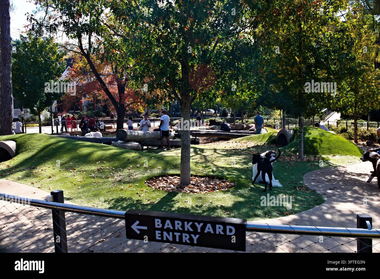 Cary, NC – 8 novembre 2025: The Barkyard è una meravigliosa area per far giocare e correre i cani nel Downtown Cary Park. Foto Stock