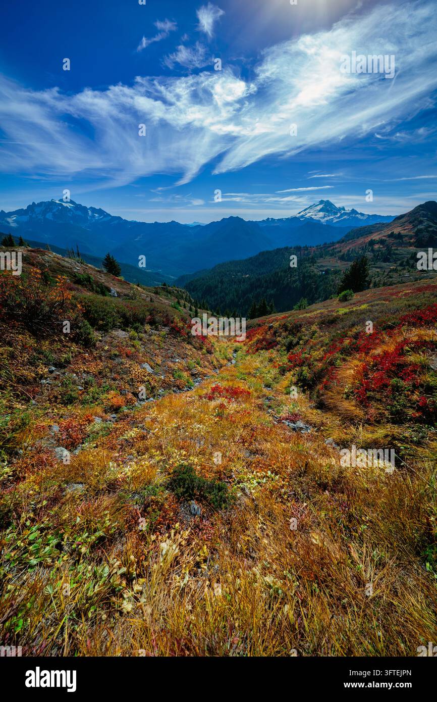 Vista verticale di un letto di torrente montano asciutto fiancheggiato da vegetazione autunnale gialla sul Yellow Aster Butte Trail a Washington. Foto Stock
