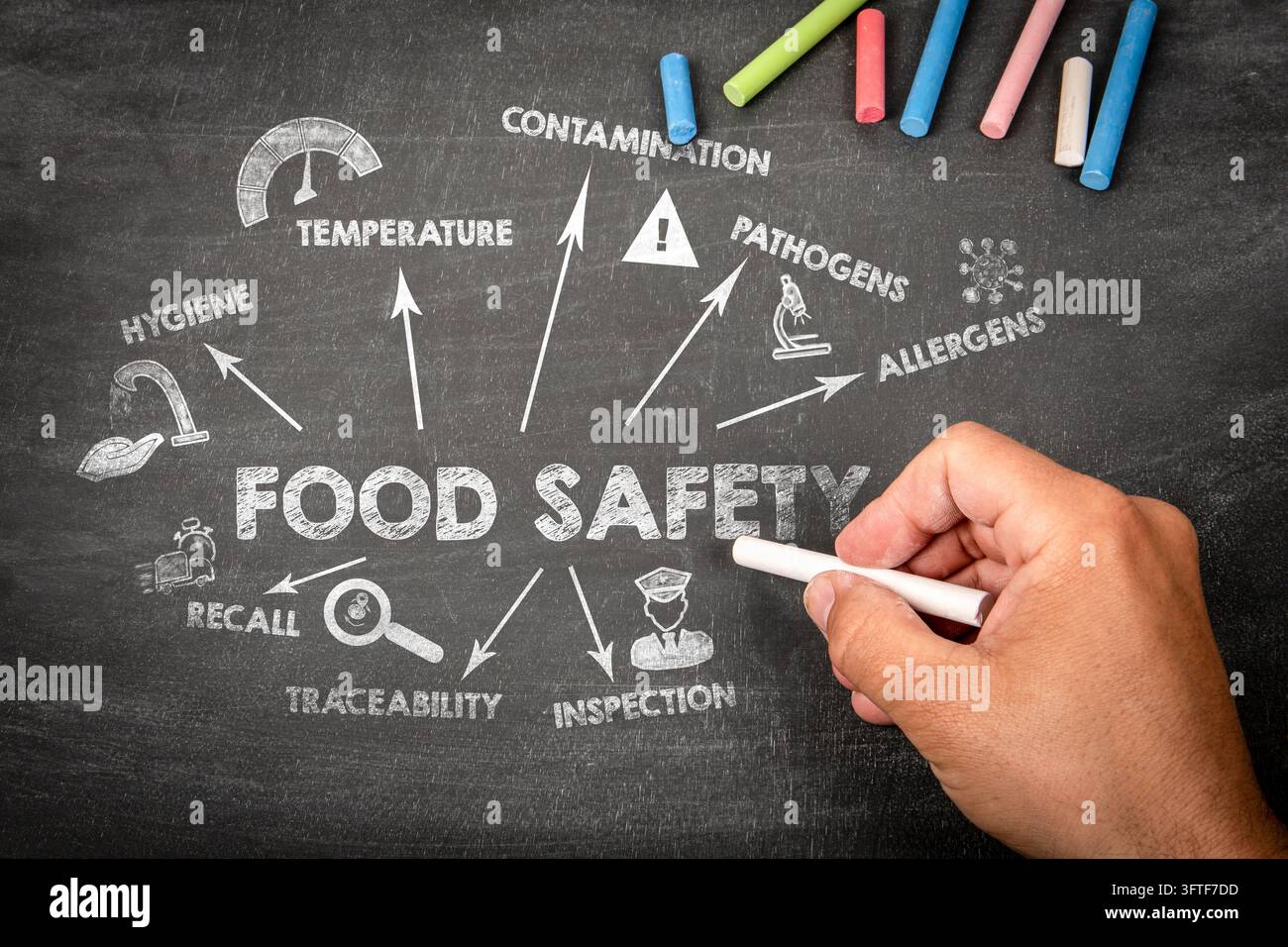 Illustrazione EDUCATIVA sulla SICUREZZA ALIMENTARE spiega l'igiene, la prevenzione della contaminazione, l'ispezione e la tracciabilità dei prodotti. Foto Stock