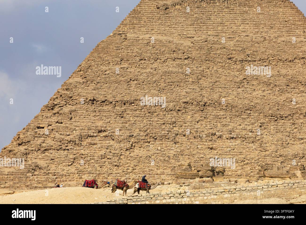 La Grande Piramide di Giza, Egitto, con cammelli e addetti vicino alla sua base, che mostrano il monumento antico e la popolare attrazione turistica. Foto Stock