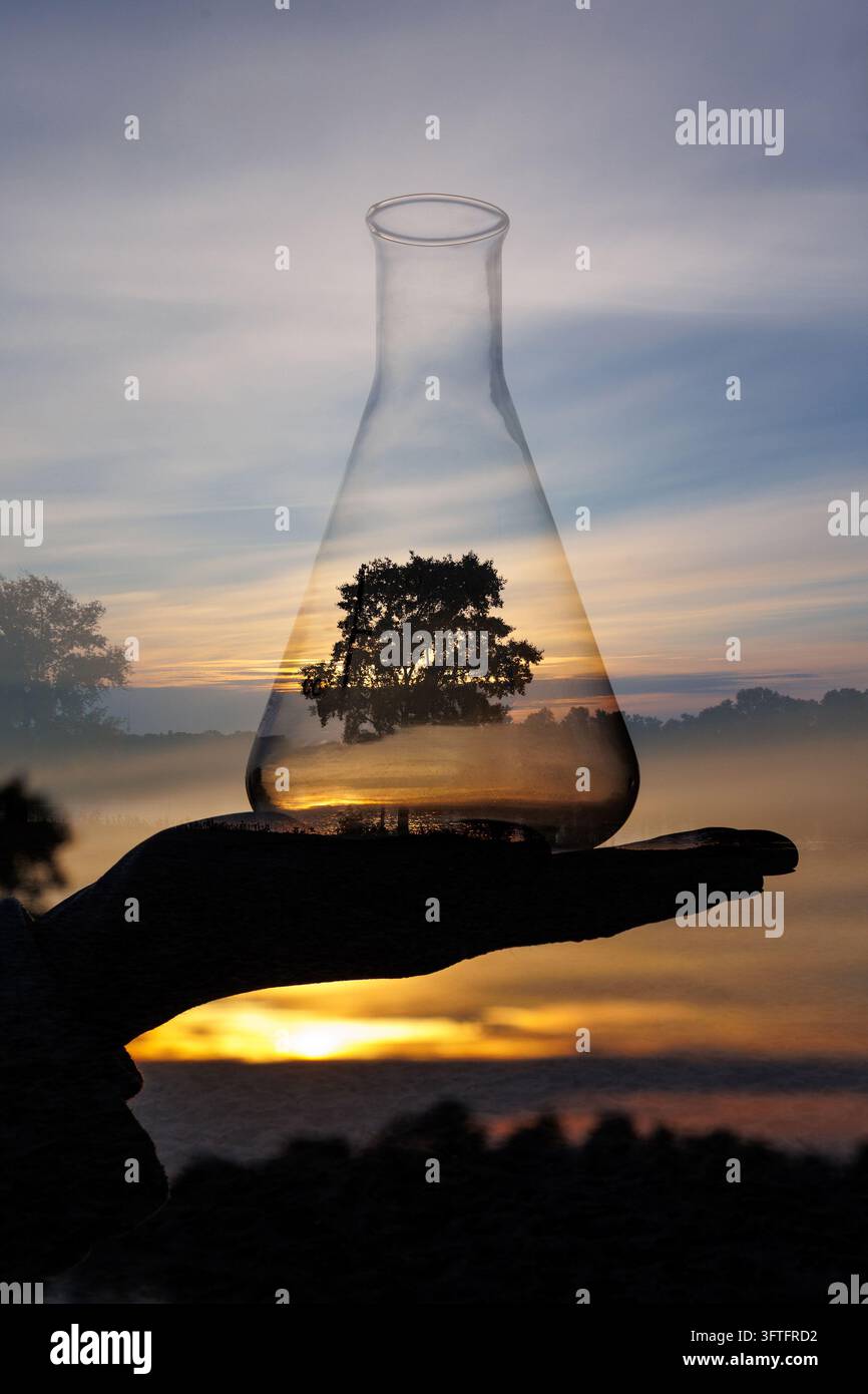 Doppia esposizione di una fiaschetta da laboratorio contenente un albero e un paesaggio nebbioso al tramonto su una mano umana. Scienza ambientale, conservazione della natura, protezione degli ecosistemi Foto Stock