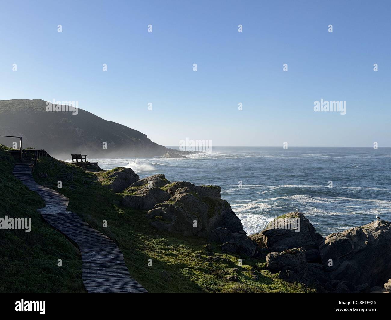 Penisola verde e schiuma bianca alla foce del Storms River, fotografata alla foce del Storms River nel parco nazionale di Tsitsikamma, Sudafrica. - Immagine stock catturata con smartphone