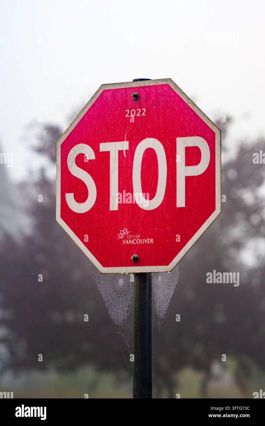 Rete di ragni su cartello di stop Foto Stock