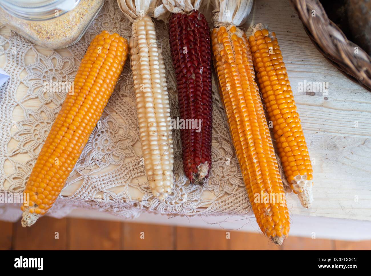 Una spettacolare esibizione della storia agricola nel Piemonte, Italia. Questi autentici chicchi di mais ereditari mostrano la straordinaria biodiversità dell'Italia settentrionale. Dalle perle incontaminate del Nostrale Bianco e dalle file lisce dell'Ottofile Giallo, ai ricchi grani ambrati del Pignoletto Giallo e del Pignoletto Rosso, queste varietà storiche vengono macinate su pietra da artigiani locali per produrre la polenta italiana autentica definitiva. Foto Stock