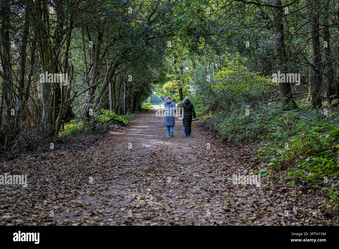 I visitatori godono di una passeggiata autunnale nel bosco di Sutton Park a Birmingham Foto Stock