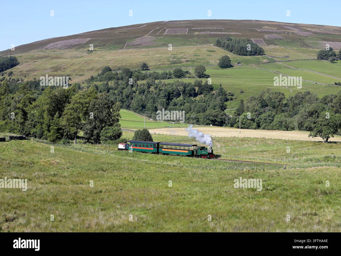 0-4-2 Green Dragon il 13.7.26 vicino a Lintley. Foto Stock