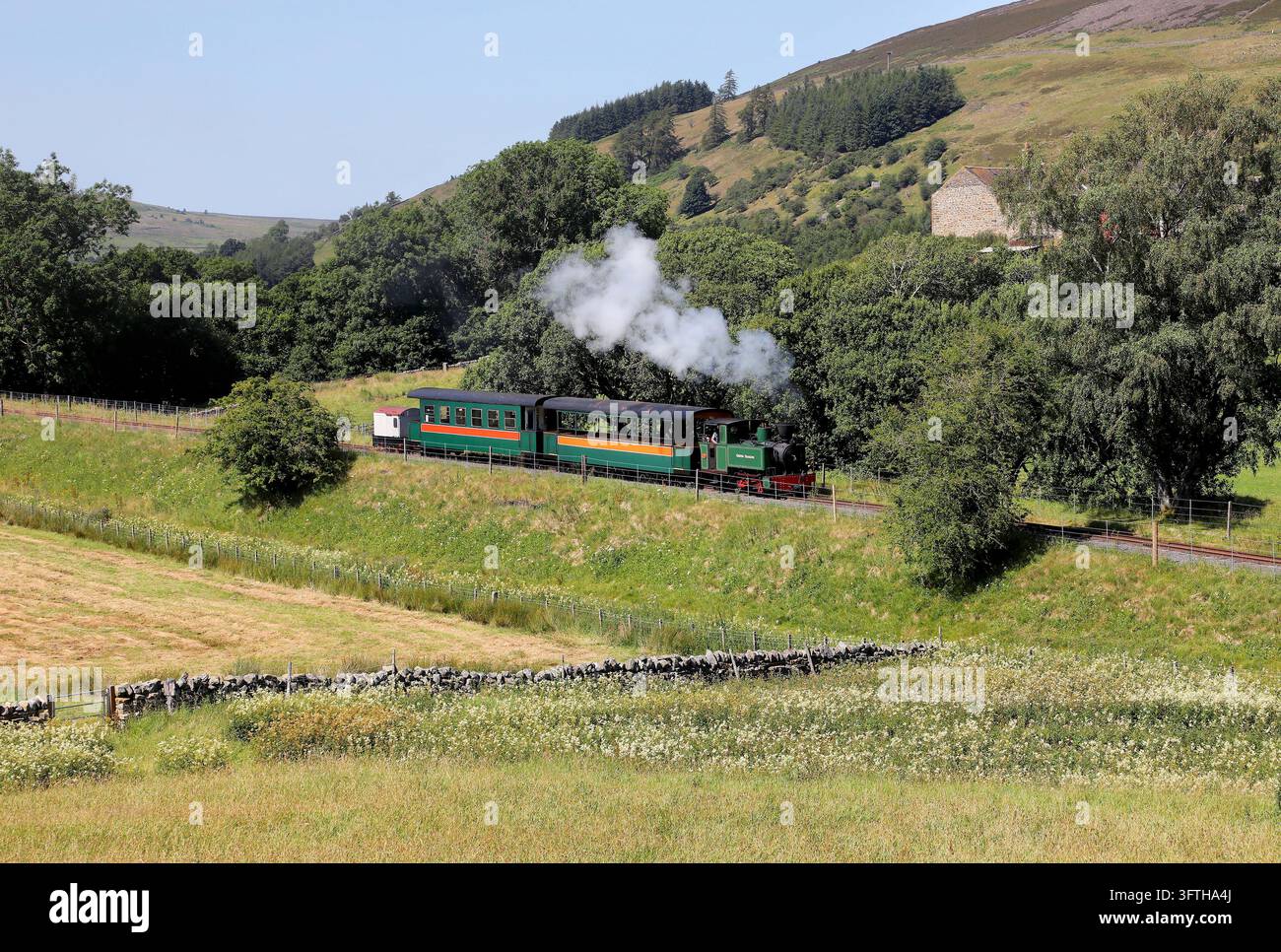 0-4-2 Green Dragon il 13.7.26 vicino a Lintley. Foto Stock