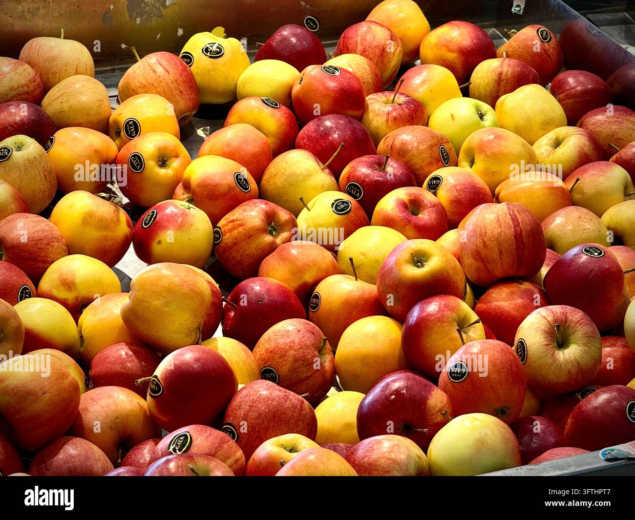 Una fotografia orizzontale che cattura una ricca varietà di mele fresche e colorate in un supermercato: mele rosse, gialle e a strisce rosse con adesivo del marchio Foto Stock