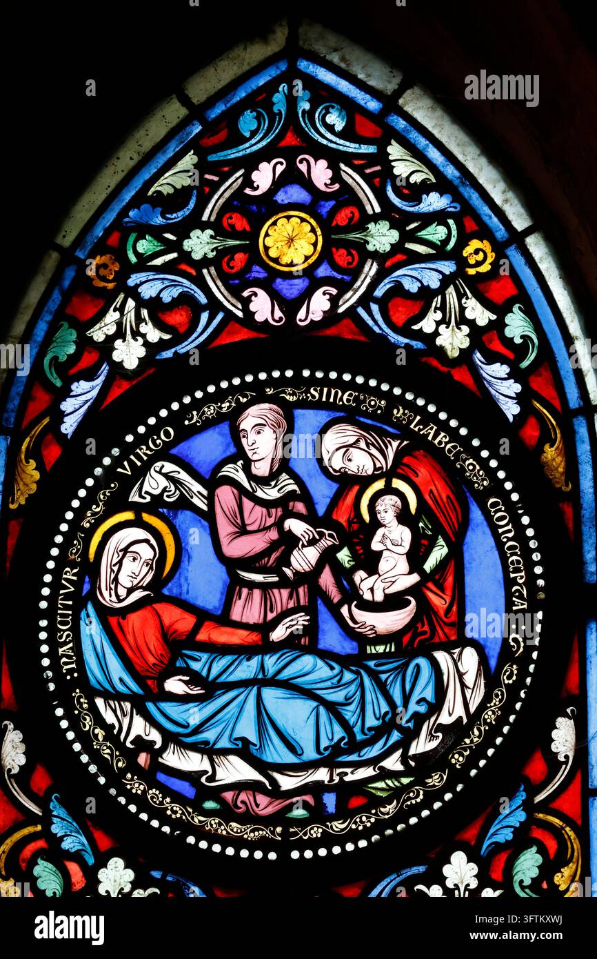 Cattedrale di Sens. Sant'Anna che dà alla luce la Vergine Maria. Vetrata del XIX secolo. Sens, Francia. Foto Stock