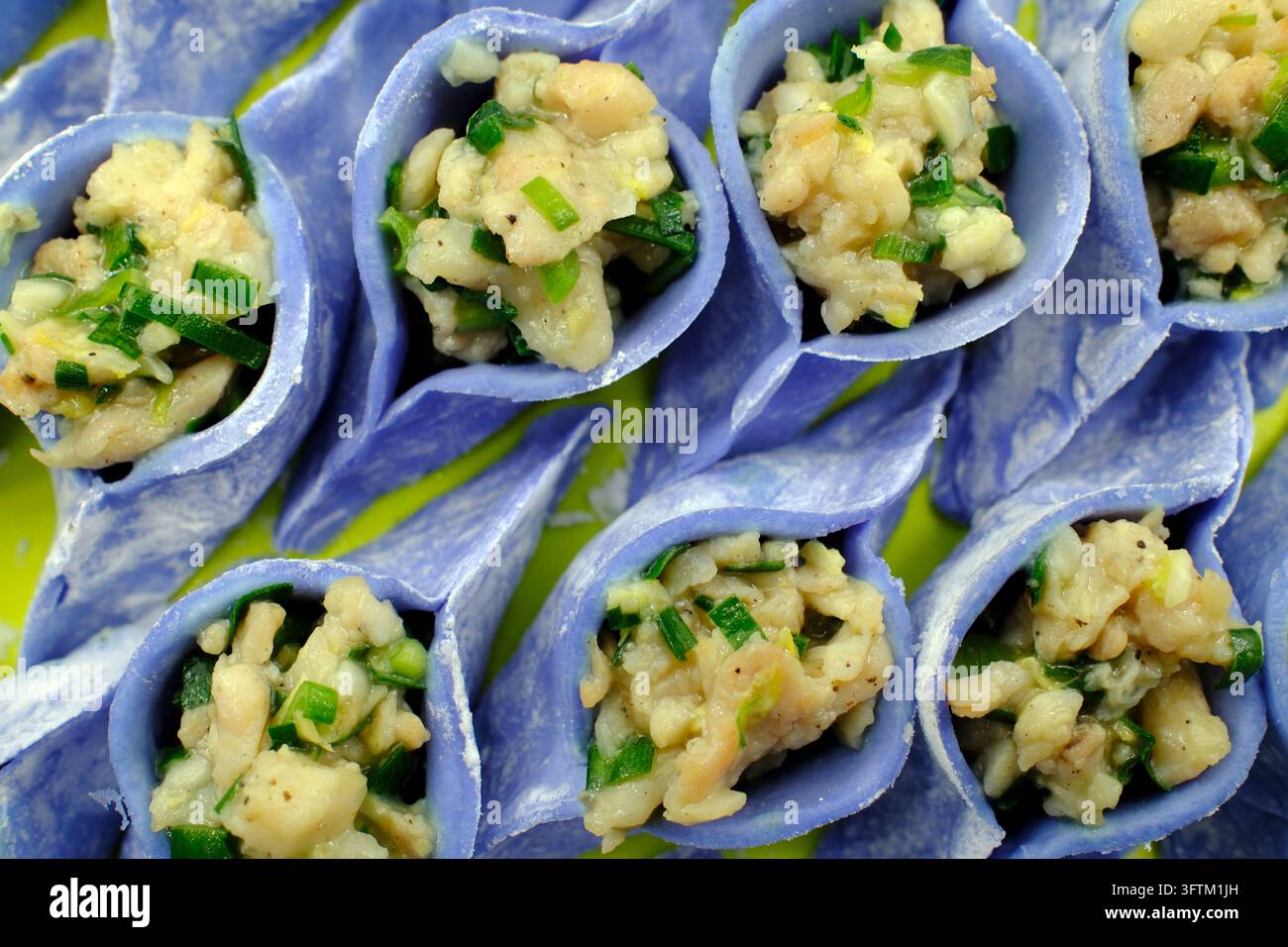 Ravioli fatti a mano con impasto viola e ripieni di un ripieno saporito a base di erbe fresche sono disposti con cura prima della cottura finale. Tradit Foto Stock