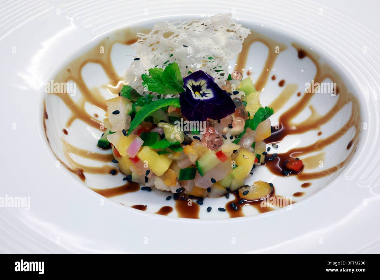 Un elegante tartaro di pesce gourmet con frutta e verdure a cubetti è disposto con cura in un grande piatto da zuppa bianco decorato con salsa. Foto Stock