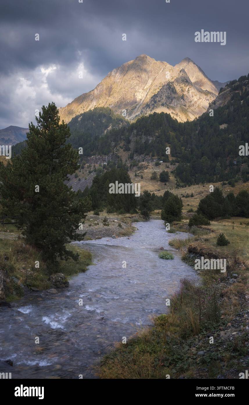 La luce del tardo pomeriggio riscalda le montagne sopra un fiume sinuoso e pendici ricoperte di pini nella valle di Benasque, Pirenei spagnoli. Foto Stock