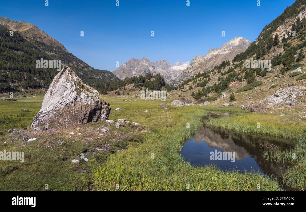 Un tranquillo stagno alpino riflette picchi frastagliati e prati verdi nella valle di Benasque, Pirenei spagnoli, sotto un cielo limpido di giorno. Foto Stock
