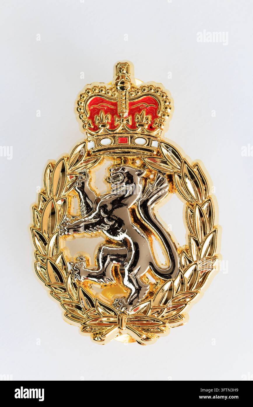 Distintivo colorato del Women's Royal Army Corps (WRAC) con un emblema araldico coronato raffigurante un leone rampante, circondato da una ghirlanda di alloro dorata. Foto Stock