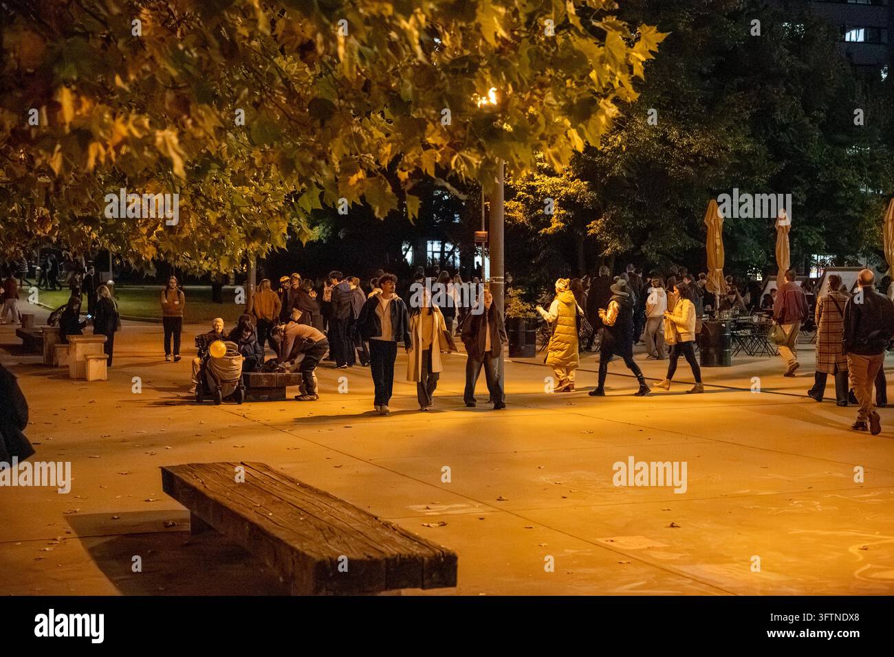 I visitatori passeggiano sotto i lampioni caldi di una piazza pubblica alberata a Dejvice durante la serata del Festival Signal 2026. Foto Stock