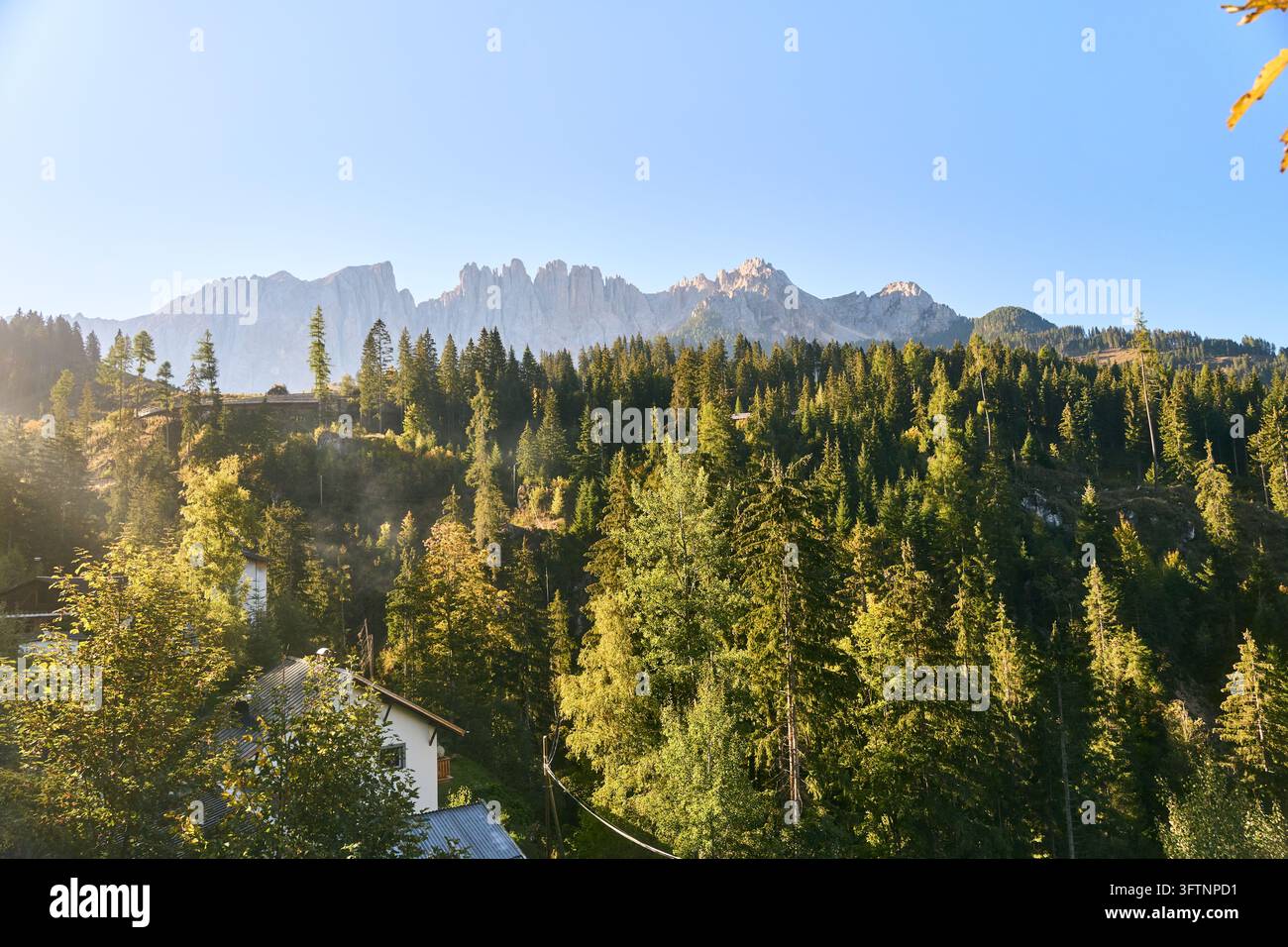 Foresta alpina illuminata dal sole e cresta frastagliata delle Dolomiti con chalet sparsi sotto un cielo blu limpido all'ora dorata, vista panoramica del paesaggio montano per Foto Stock