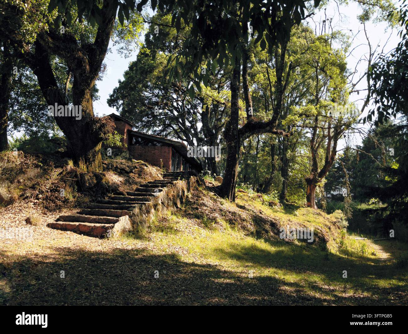 Gradini di pietra rustici che conducono a una cabina di mattoni circondata da grandi alberi. Foto Stock