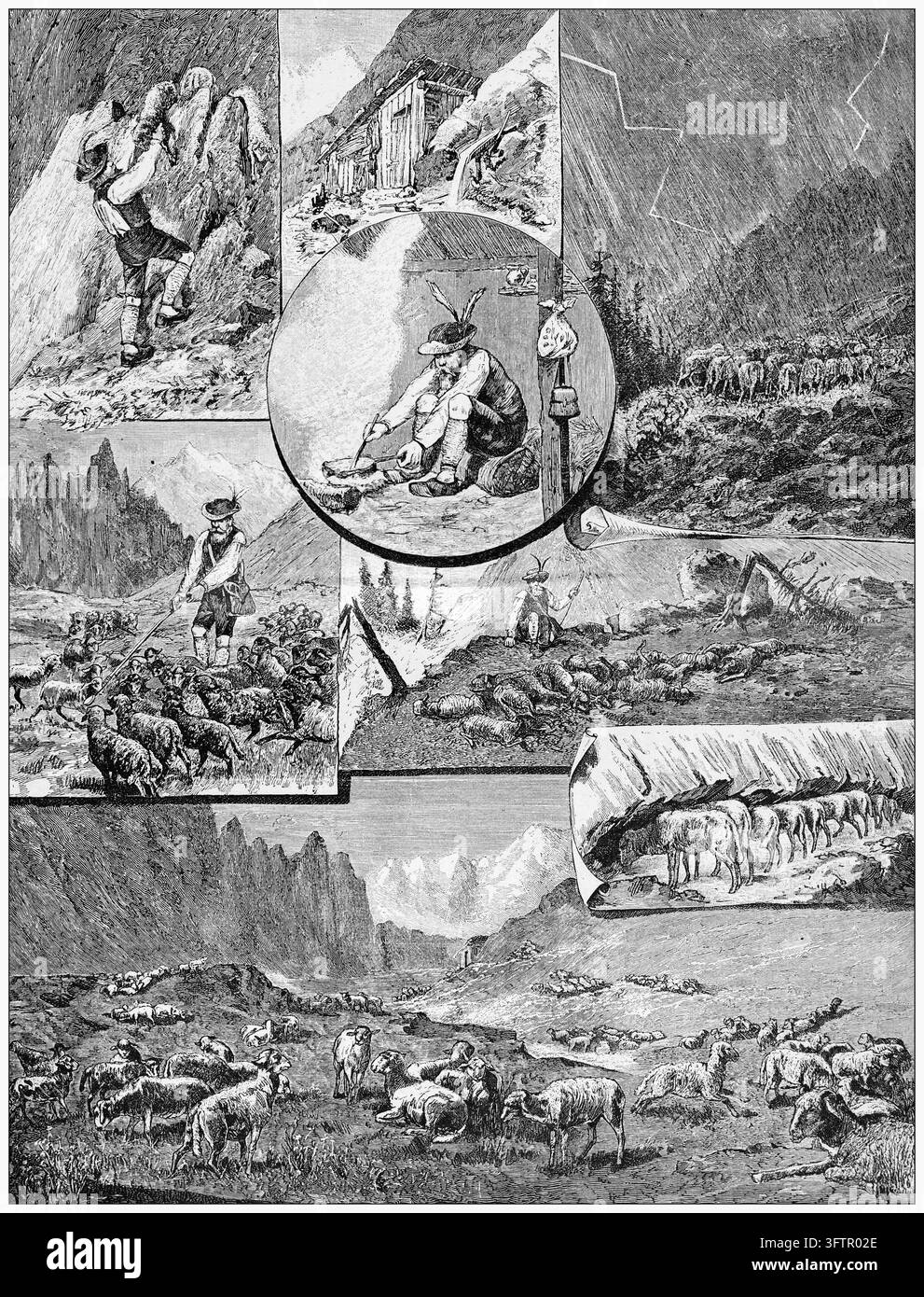 Pastori e pecore nelle Alpi dell'Altissimo Tirolo: Rappresentazione della vita quotidiana, del pascolo e delle tempeste. Incisione del XIX secolo. Foto Stock